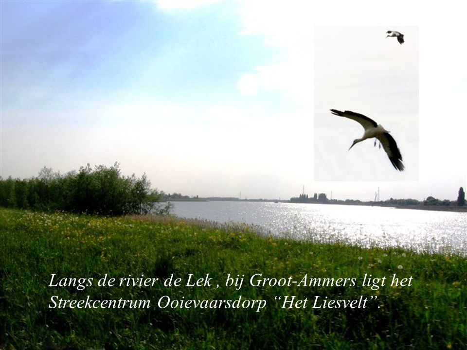 Langs de rivier de Lek , bij Groot-Ammers ligt het Streekcentrum Ooievaarsdorp Het Liesvelt .