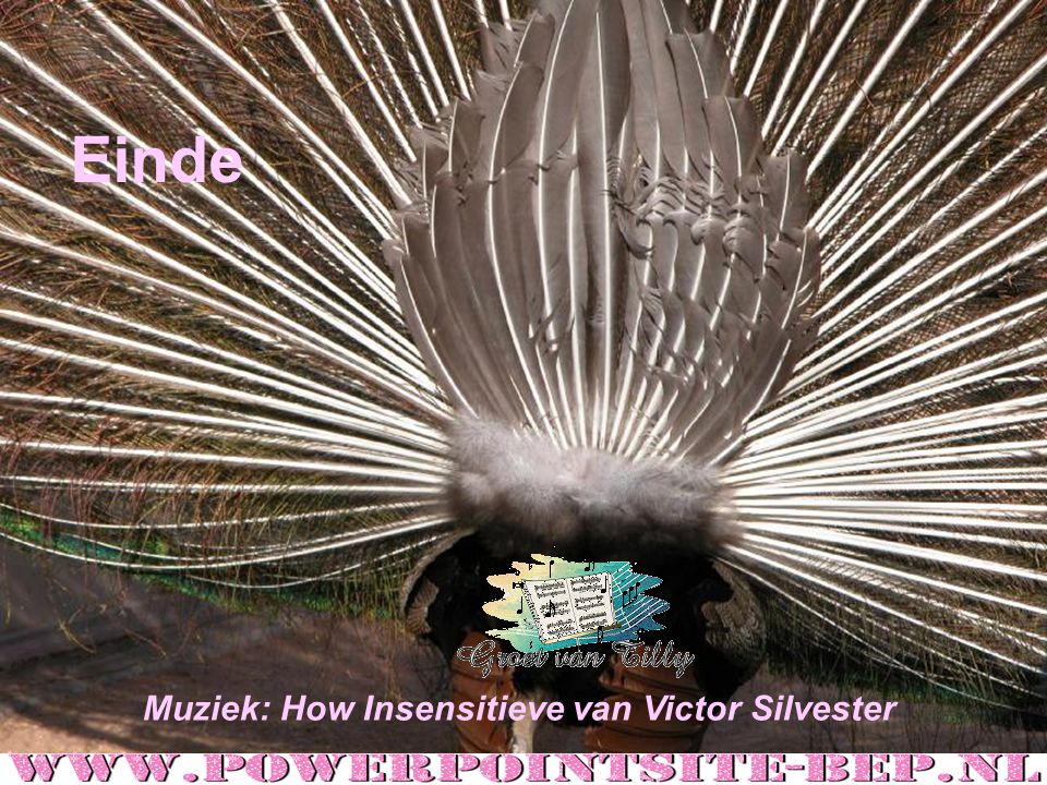 Einde Muziek: How Insensitieve van Victor Silvester