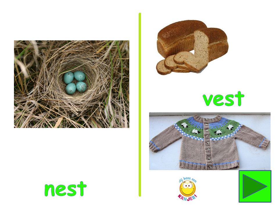 vest nest