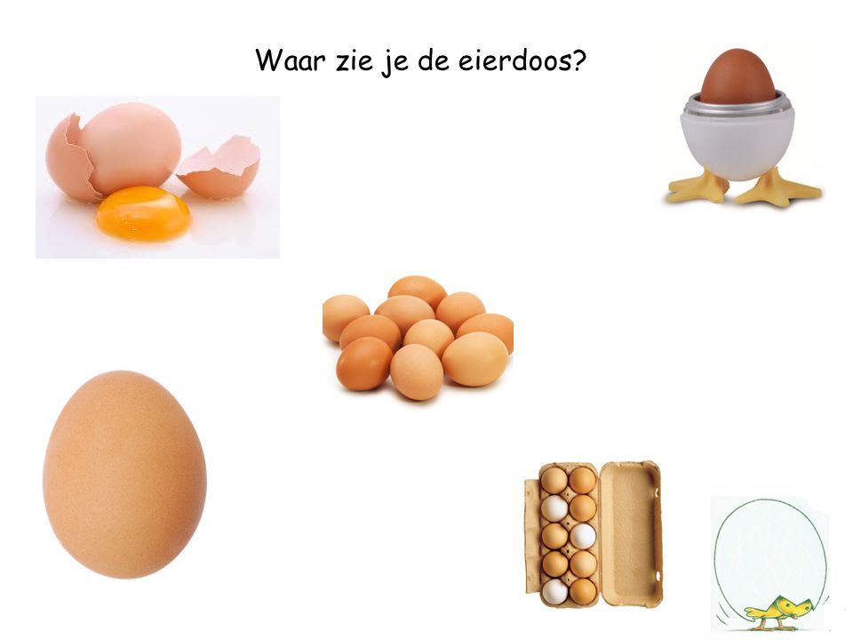 Waar zie je de eierdoos