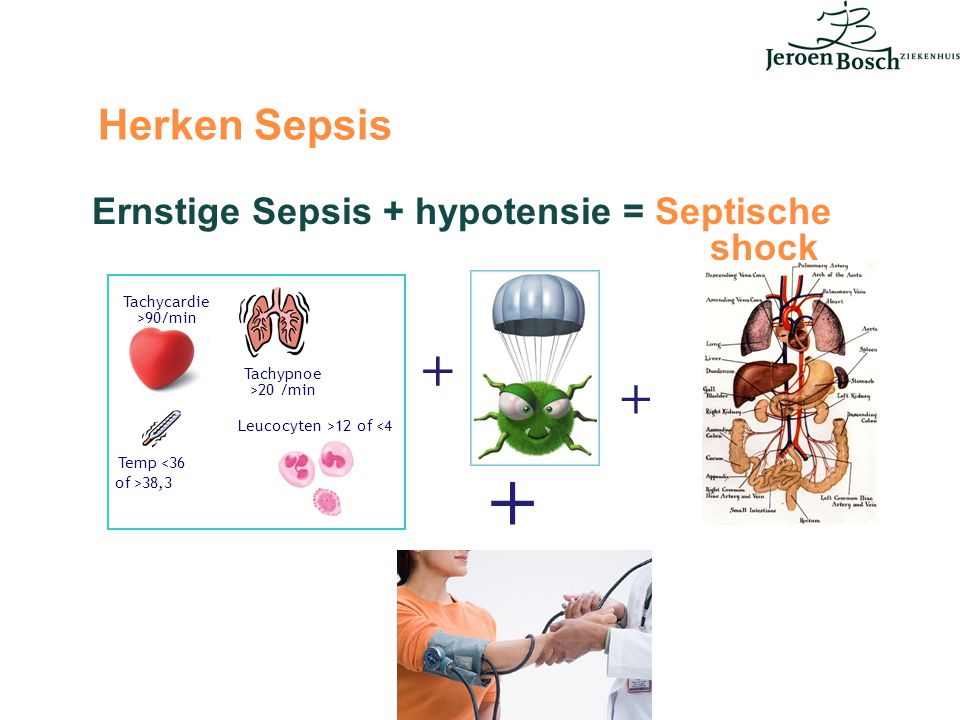Ernstige Sepsis + hypotensie = Septische shock