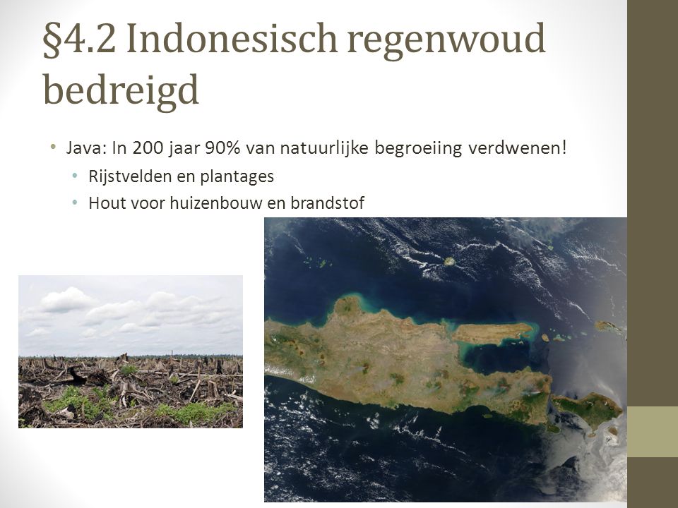 §4.2 Indonesisch regenwoud bedreigd