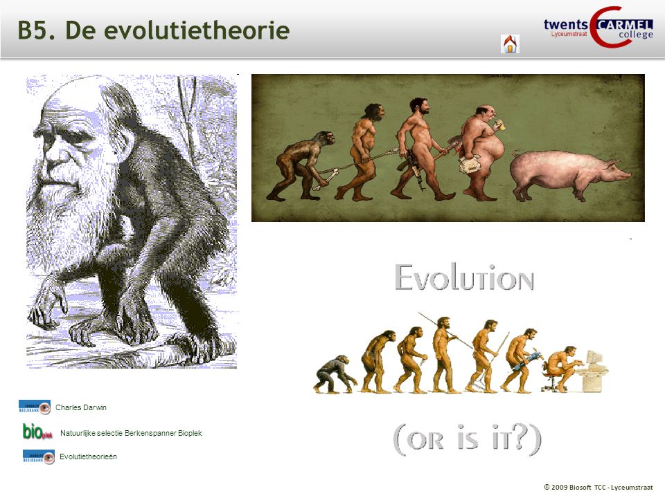 B5. De evolutietheorie Charles Darwin