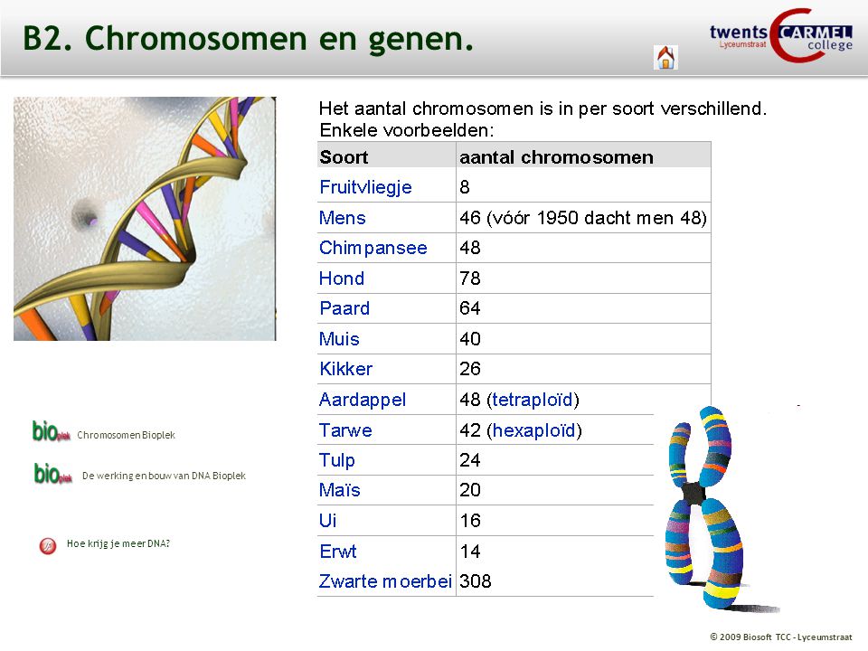 B2. Chromosomen en genen. Chromosomen Bioplek