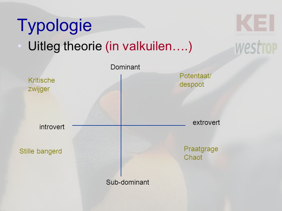 Typologie Uitleg theorie (in valkuilen….) Dominant Potentaat/ despoot