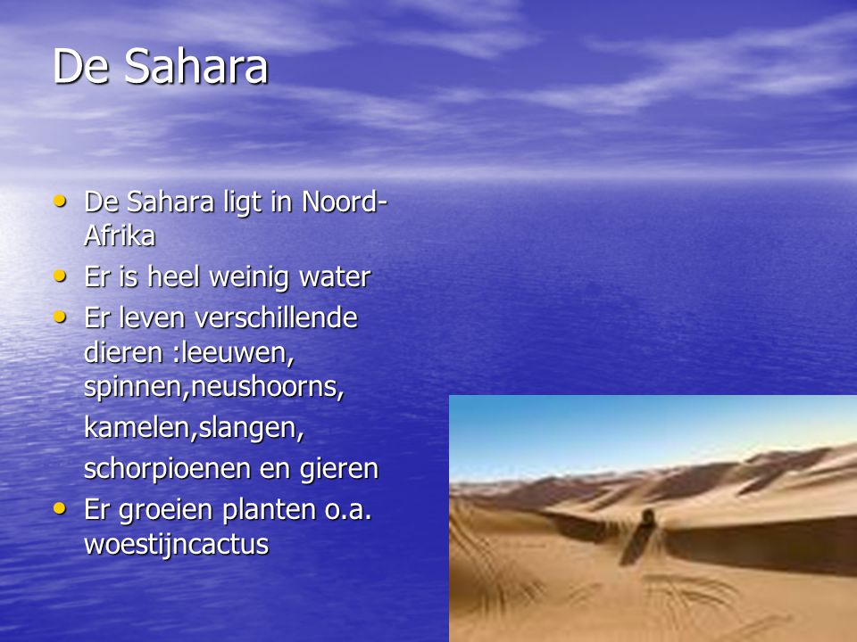 De Sahara De Sahara ligt in Noord- Afrika Er is heel weinig water