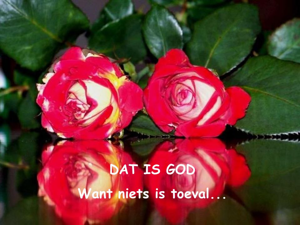 DAT IS GOD Want niets is toeval...