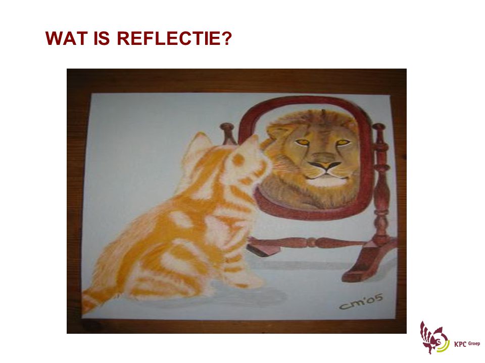 WAT IS REFLECTIE Wat is nou precies reflectie en wat doet reflectie