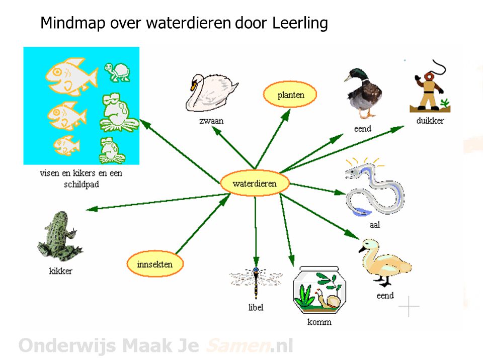Mindmap over waterdieren door Leerling