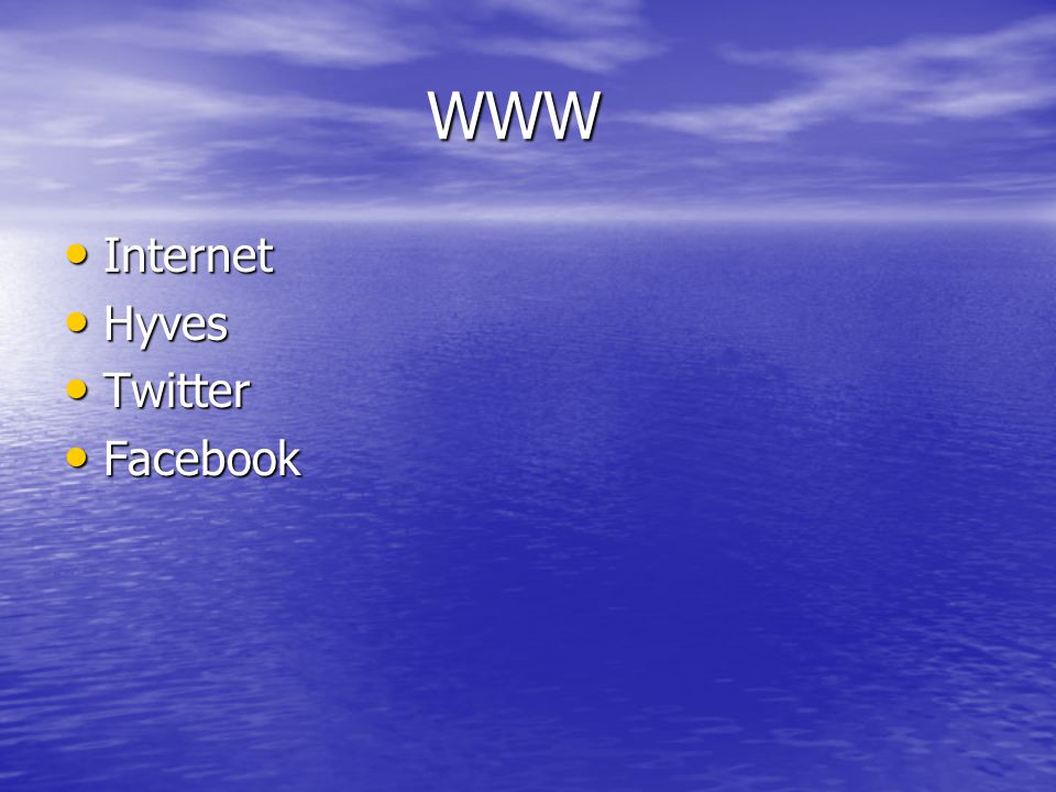 WWW Internet Hyves Twitter Facebook