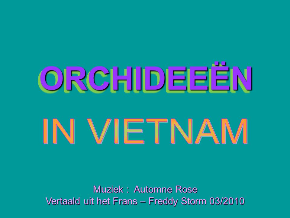 Vertaald uit het Frans – Freddy Storm 03/2010