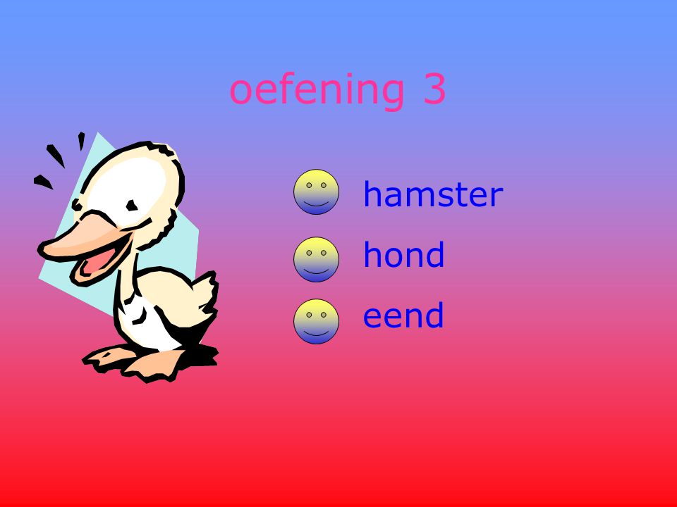 oefening 3 hamster hond eend