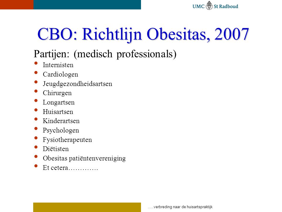 CBO: Richtlijn Obesitas, 2007