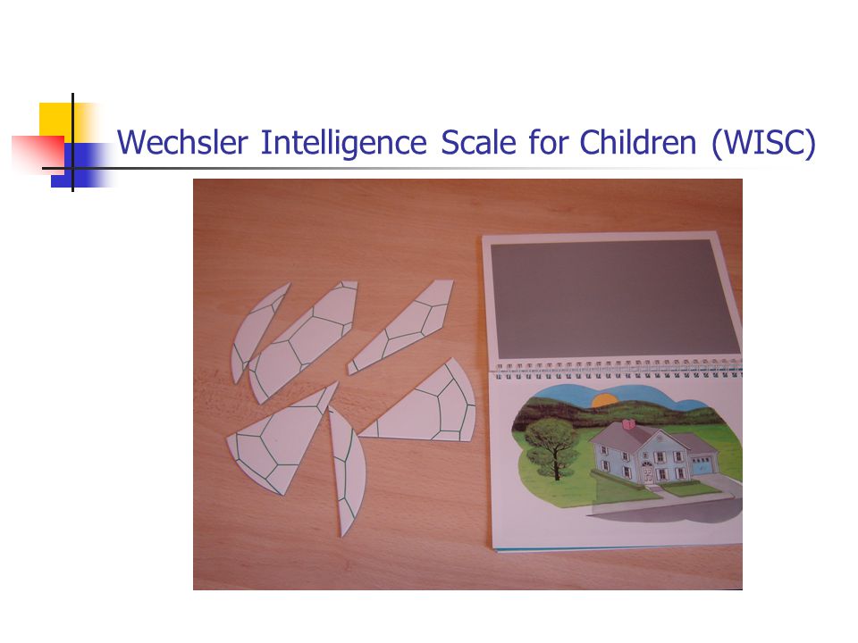 Wechsler Intelligence Scale for Children (WISC)