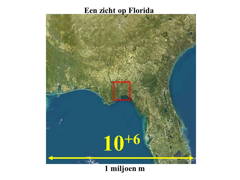 Een zicht op Florida miljoen m