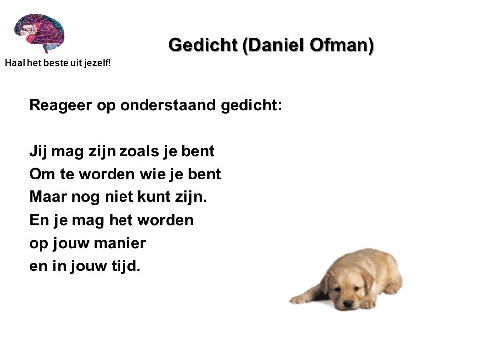 Gedicht (Daniel Ofman)