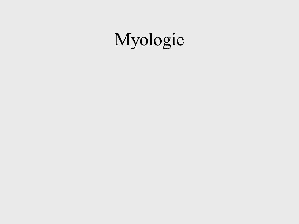 Myologie
