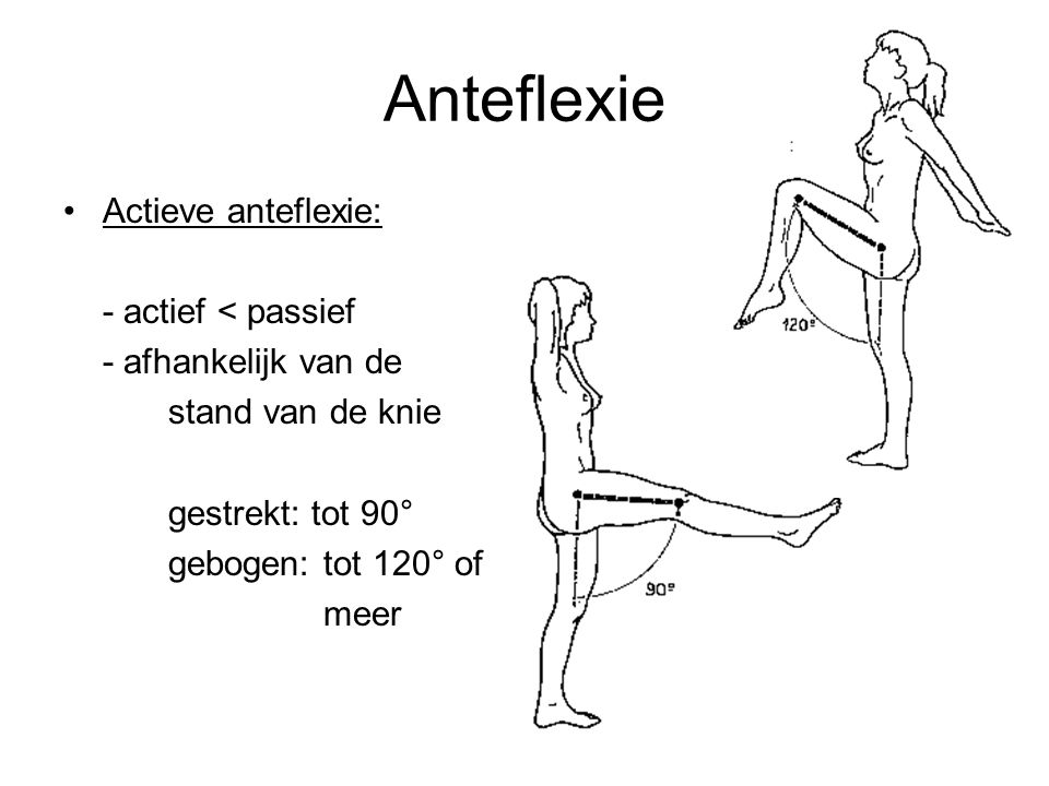 Anteflexie Actieve anteflexie: - actief < passief