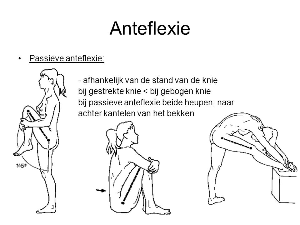 Anteflexie Passieve anteflexie: - afhankelijk van de stand van de knie