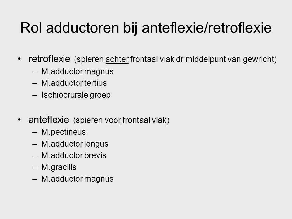 Rol adductoren bij anteflexie/retroflexie