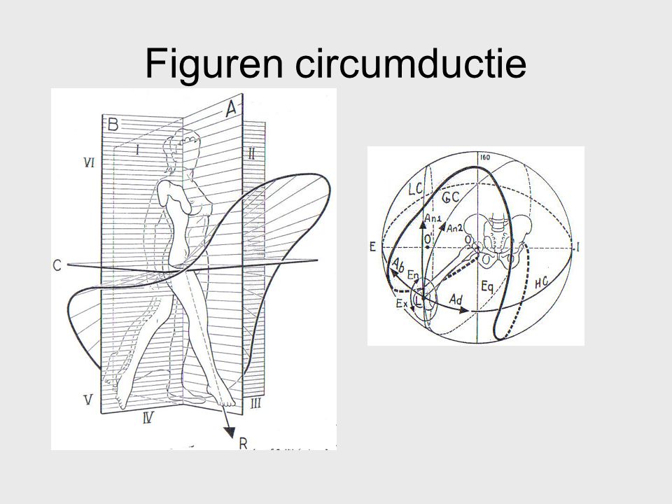 Figuren circumductie