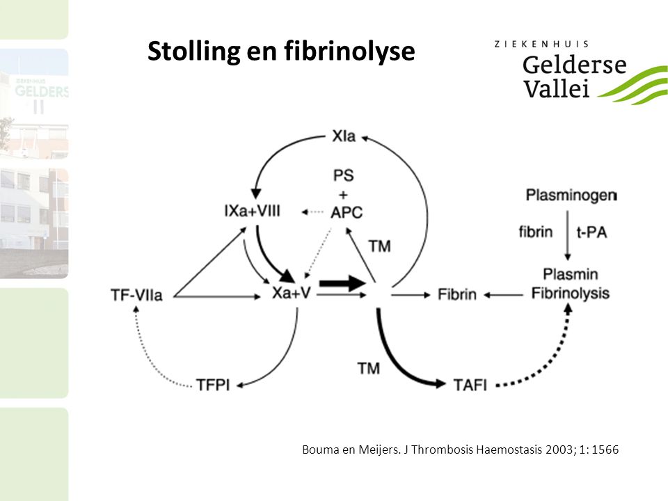 Stolling en fibrinolyse