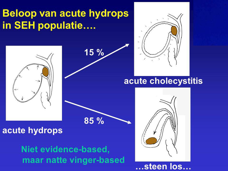 Beloop van acute hydrops in SEH populatie….