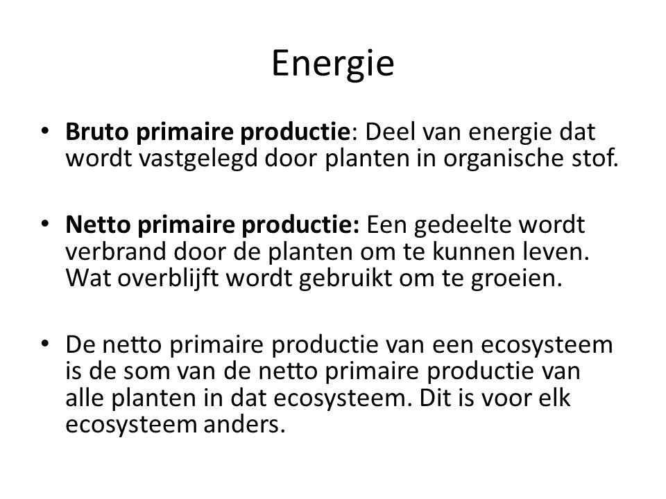 Energie Bruto primaire productie: Deel van energie dat wordt vastgelegd door planten in organische stof.
