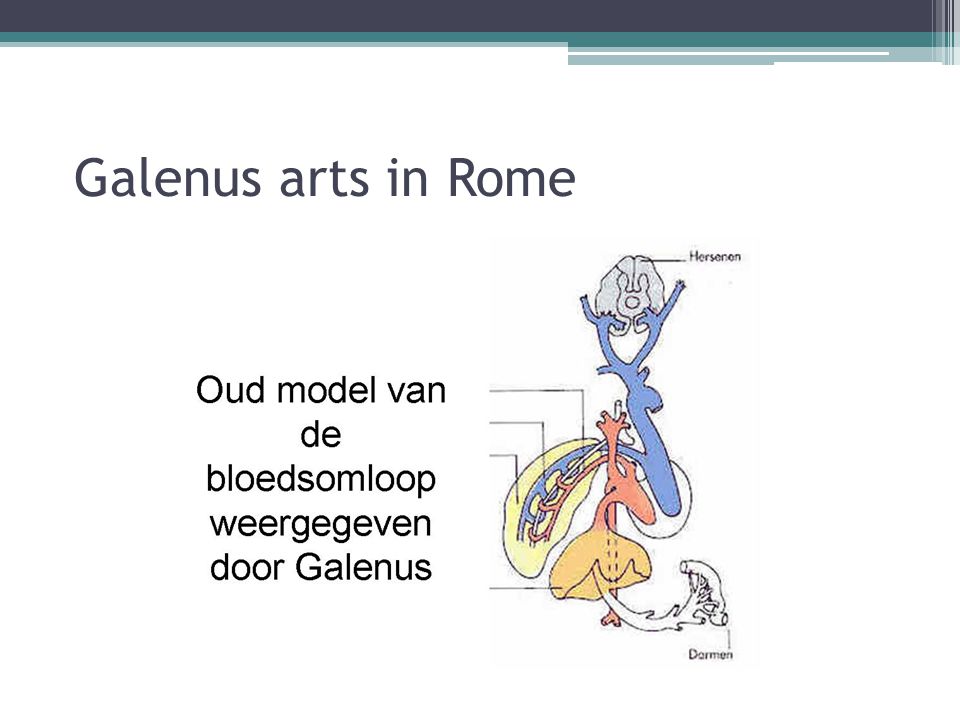 Galenus arts in Rome