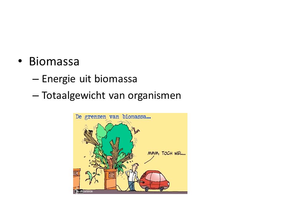 Biomassa Energie uit biomassa Totaalgewicht van organismen