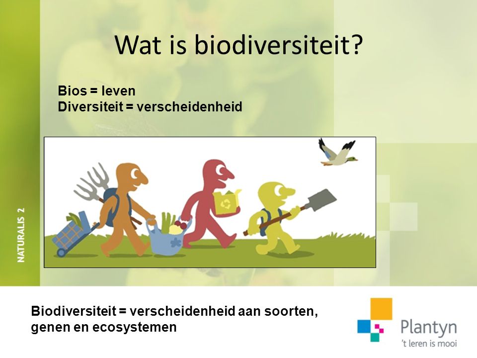 Wat is biodiversiteit Bios = leven Diversiteit = verscheidenheid