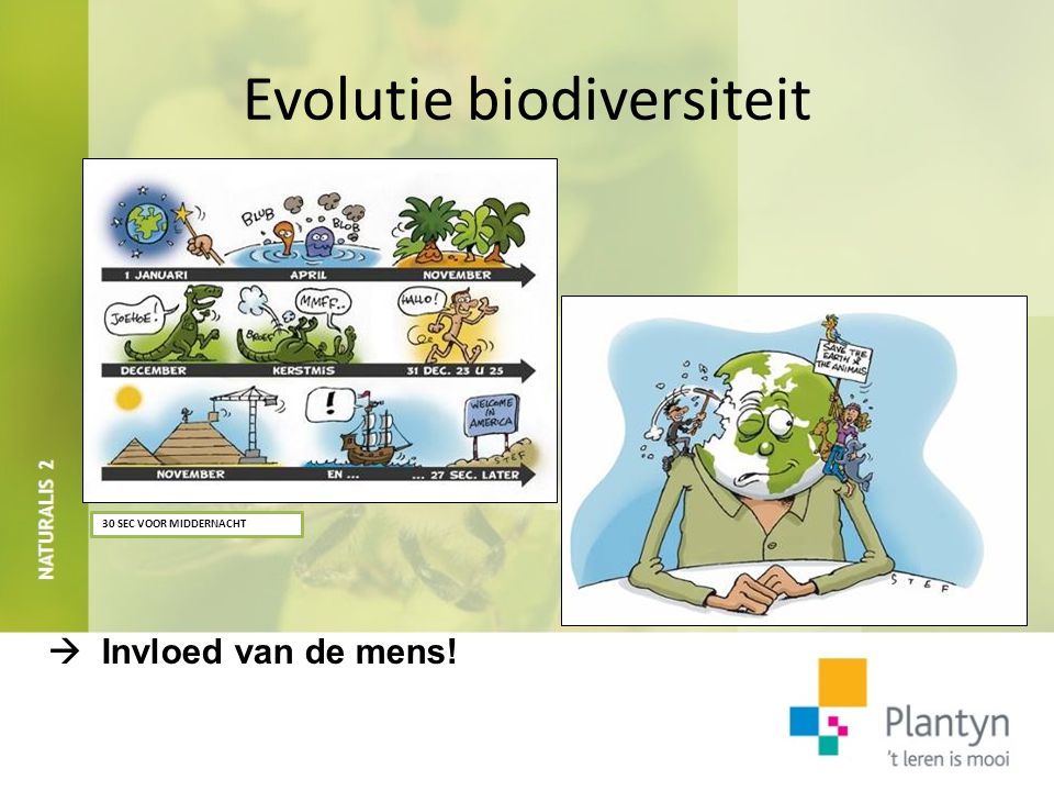 Evolutie biodiversiteit