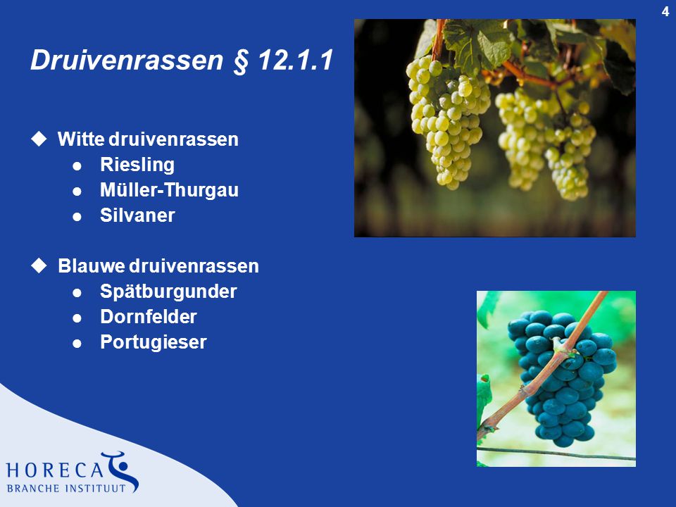 Druivenrassen § Witte druivenrassen Riesling Müller-Thurgau