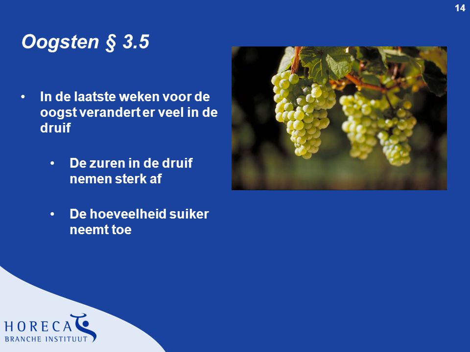 Oogsten § 3.5 In de laatste weken voor de oogst verandert er veel in de druif. De zuren in de druif nemen sterk af.