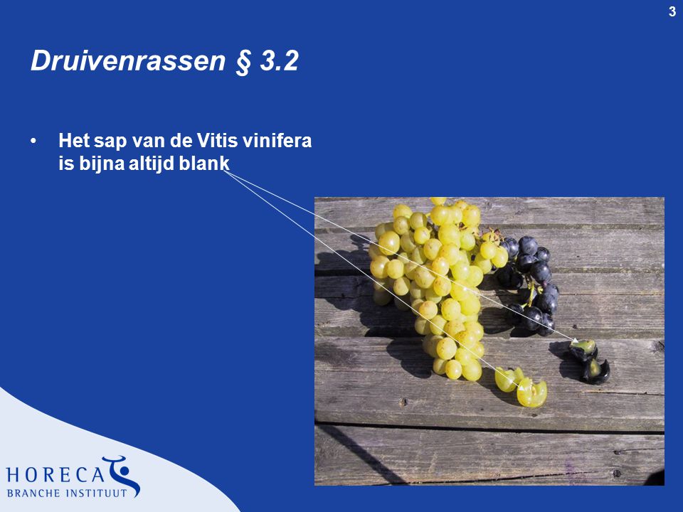 Druivenrassen § 3.2 Het sap van de Vitis vinifera is bijna altijd blank. Docentenhandleiding SVH Wijncertificaat - dia 3.
