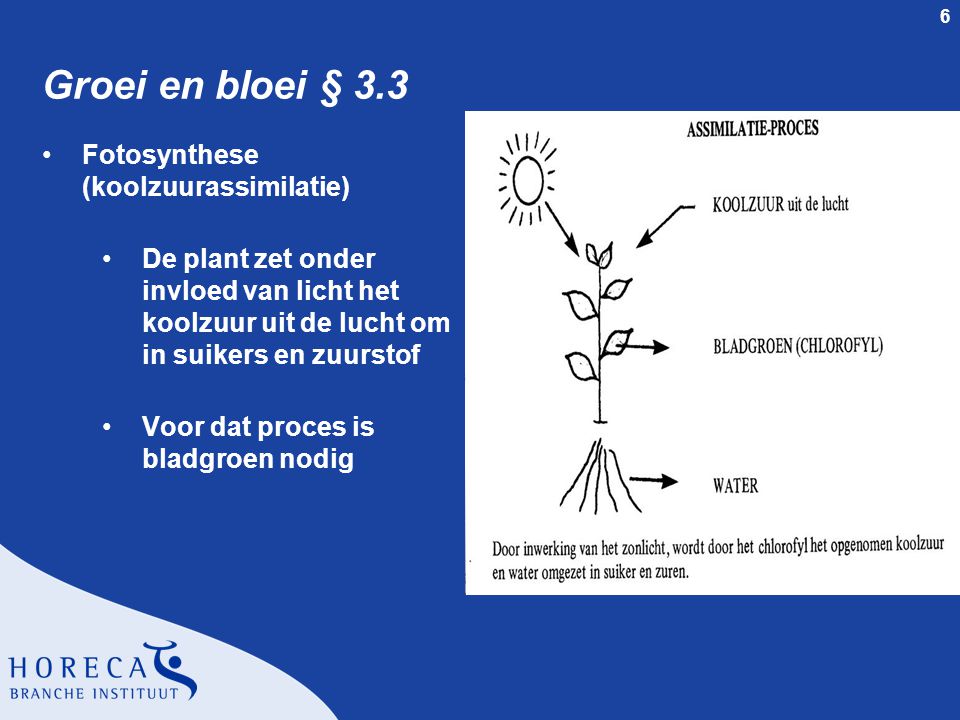 Groei en bloei § 3.3 Fotosynthese (koolzuurassimilatie)