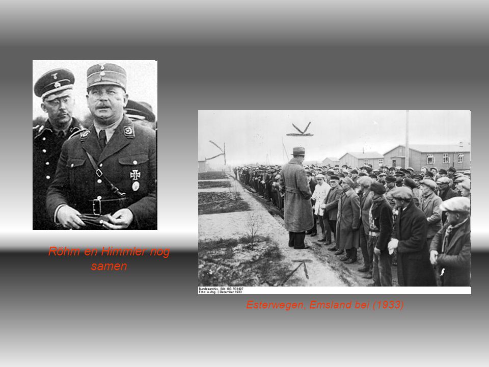 Röhm en Himmler nog samen