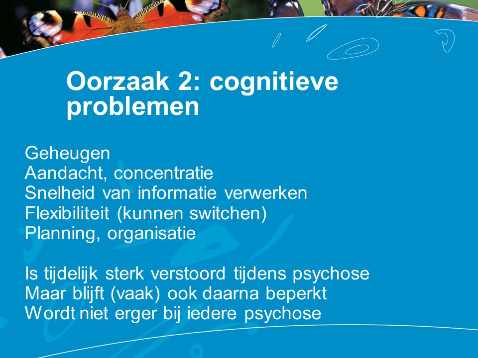 Oorzaak 2: cognitieve problemen