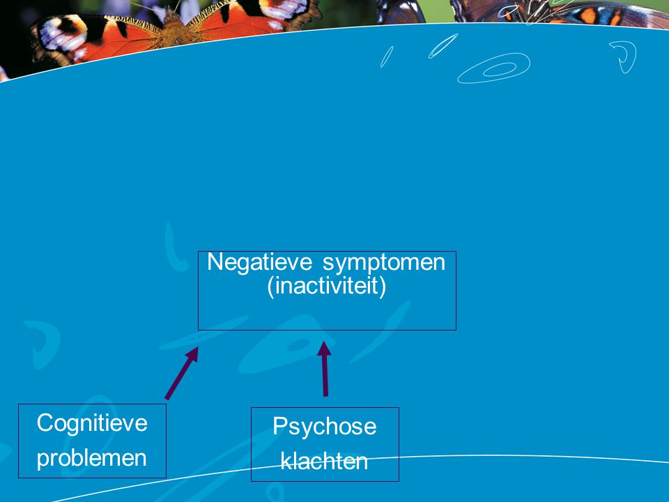 Negatieve symptomen (inactiviteit) Cognitieve problemen Psychose klachten