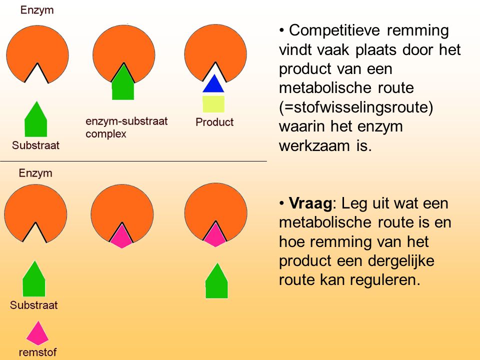 Competitieve remming vindt vaak plaats door het product van een metabolische route (=stofwisselingsroute) waarin het enzym werkzaam is.