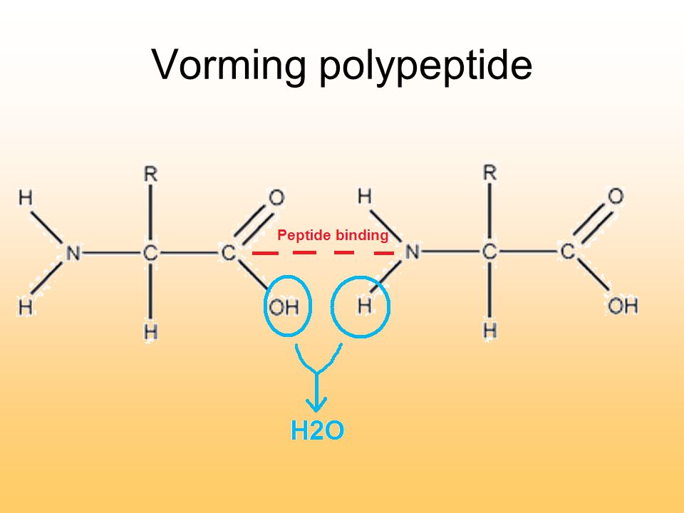 Vorming polypeptide