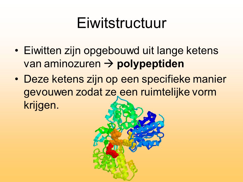 Eiwitstructuur Eiwitten zijn opgebouwd uit lange ketens van aminozuren  polypeptiden.