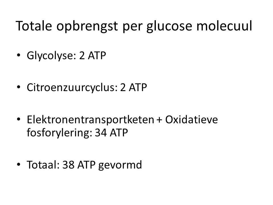 Totale opbrengst per glucose molecuul