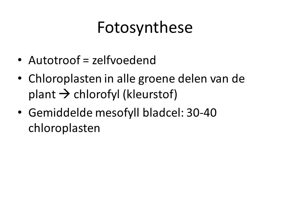 Fotosynthese Autotroof = zelfvoedend