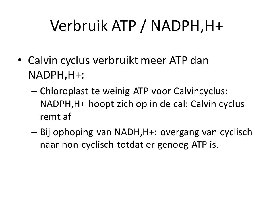 Verbruik ATP / NADPH,H+ Calvin cyclus verbruikt meer ATP dan NADPH,H+: