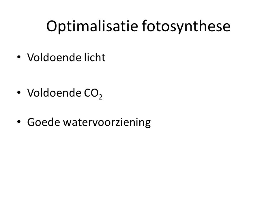 Optimalisatie fotosynthese
