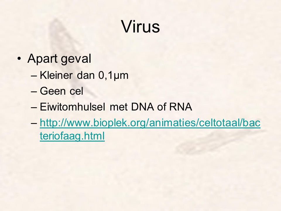 Virus Apart geval Kleiner dan 0,1µm Geen cel
