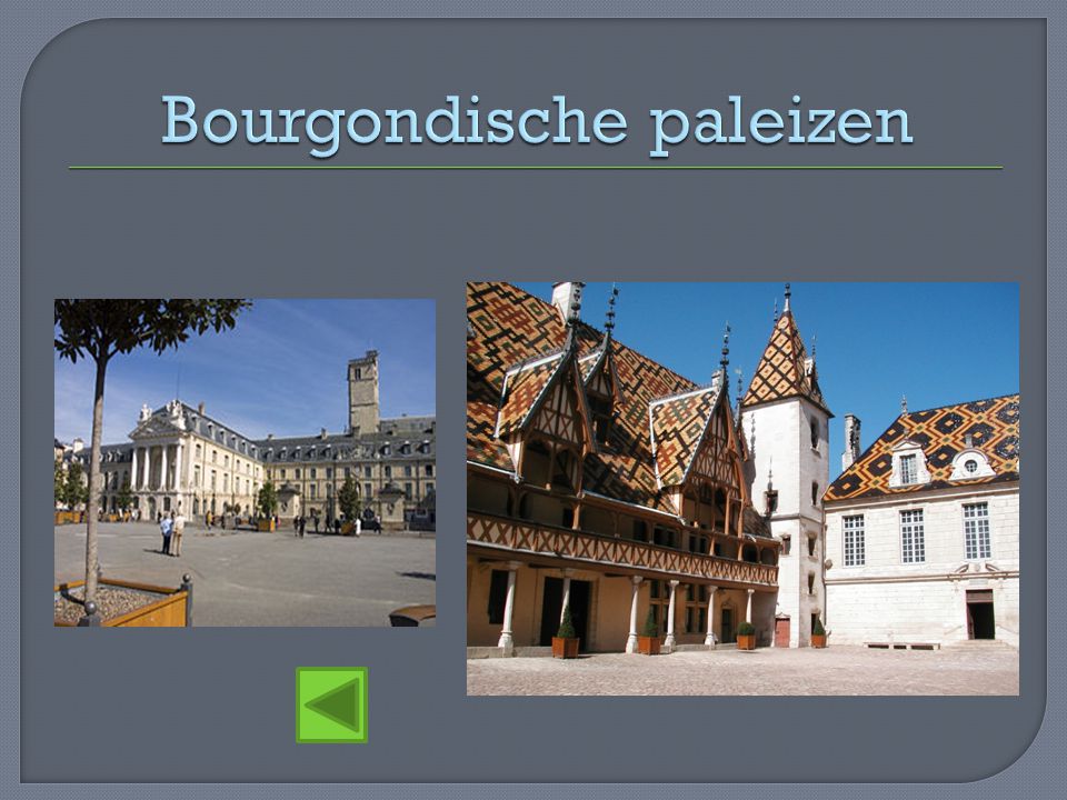 Bourgondische paleizen