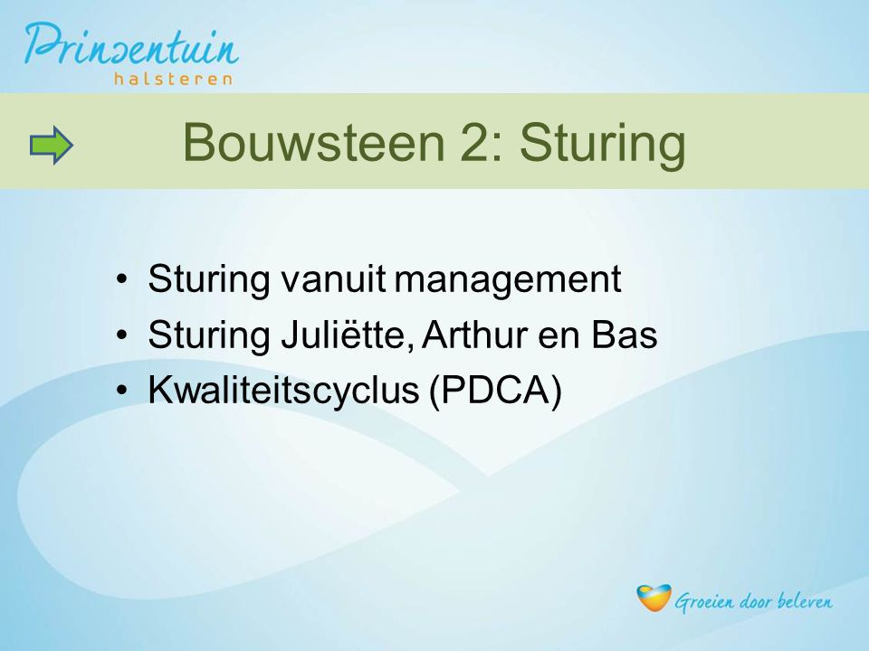 Bouwsteen 2: Sturing Sturing vanuit management