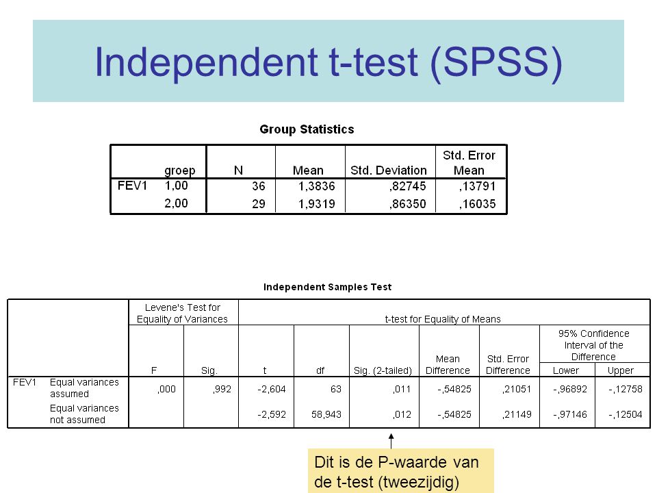Independent t-test (SPSS)